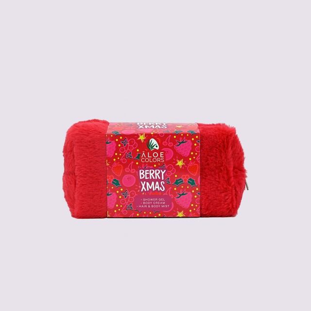 Aloe Colors Berry Xmas Bag